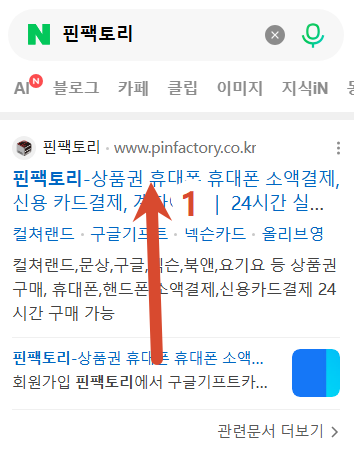 결제 안내